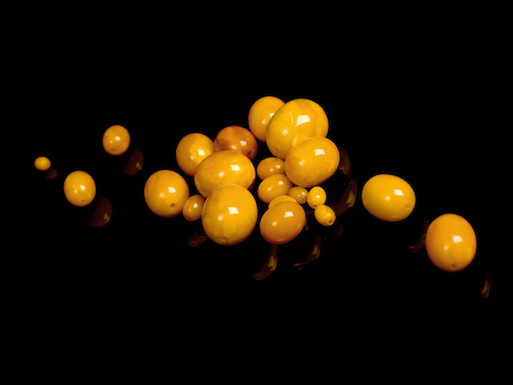 bernstein-ankauf_008.jpg